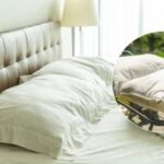 Oamenii sunt îndemnați să ia pături și perne afară: care