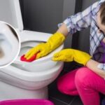 Topiți calcarul din toaletă în 10 minute cu un remediu