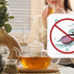 Cum să alungi toate insectele din casă fără „chimicale”: un